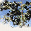 Мушмула Органические Травы Красный Сушеные Черные Ягоды Годжи